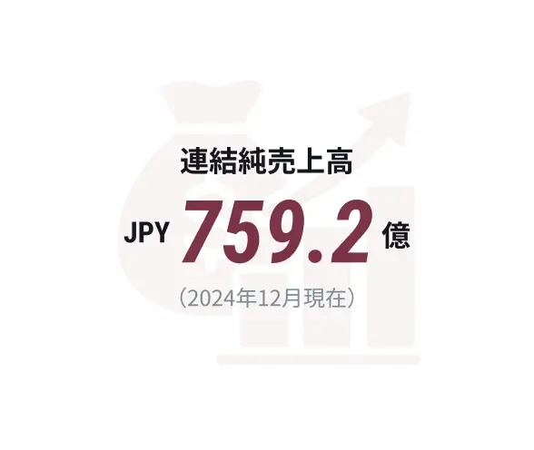 Consolidated net sales