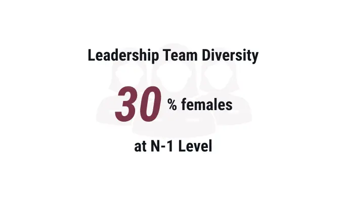 Leadership team diversity