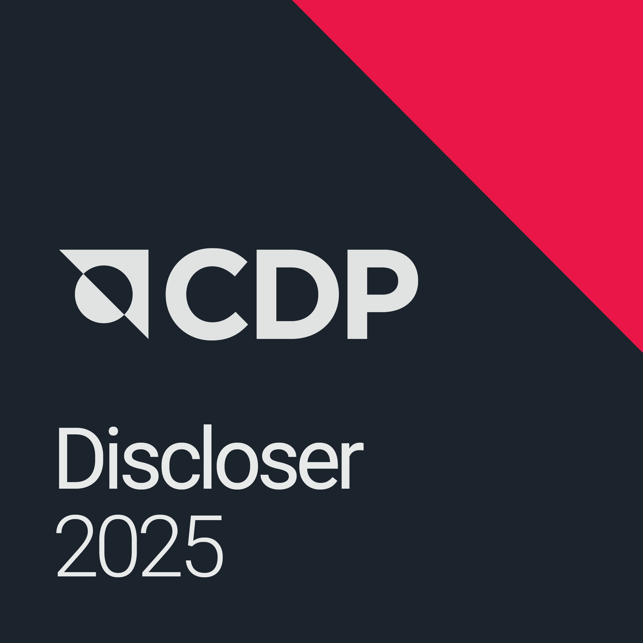 CDP Discloser 2024